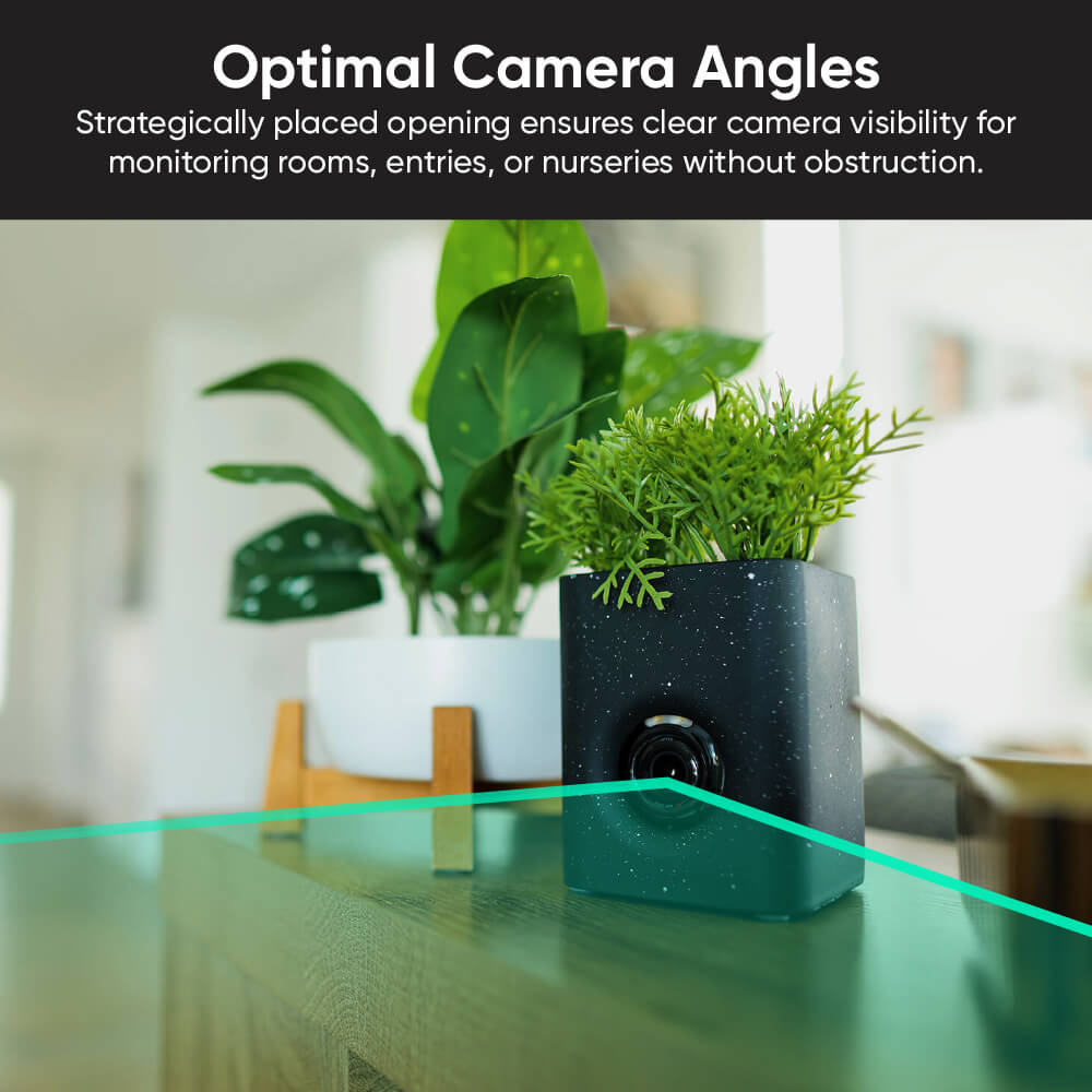 wyze-cam-vase-wyze-labs-inc-6305679.jpg